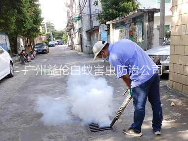 天河房屋治白蚁工程